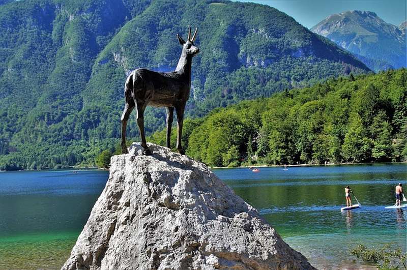  bohinj prenočišča